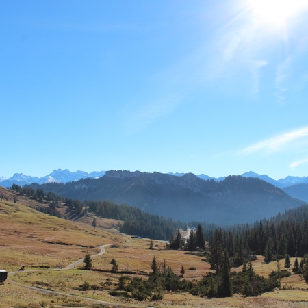 Hundetreffen 2015 im Allgäu (1)